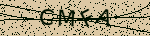 [captcha]