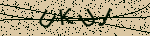 [captcha]