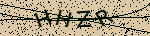 [captcha]